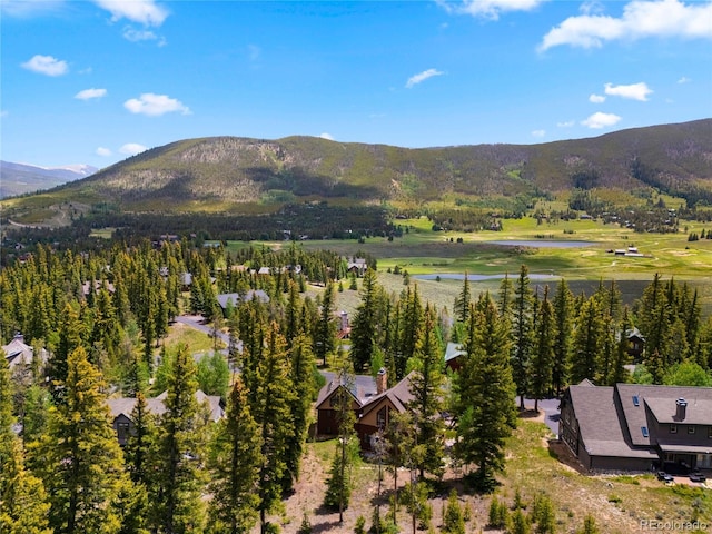840 Penstemon Rd, Dillon, CO 80435 - photo 49
