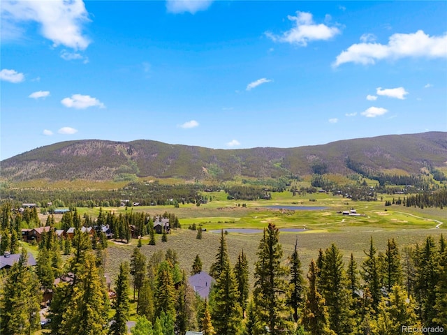 840 Penstemon Rd, Dillon, CO 80435 - photo 50