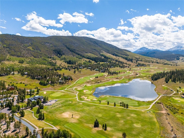 840 Penstemon Rd, Dillon, CO 80435 - photo 46