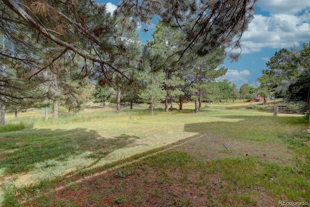 6386 N Windmont Ave, Parker, CO 80134 - photo 41