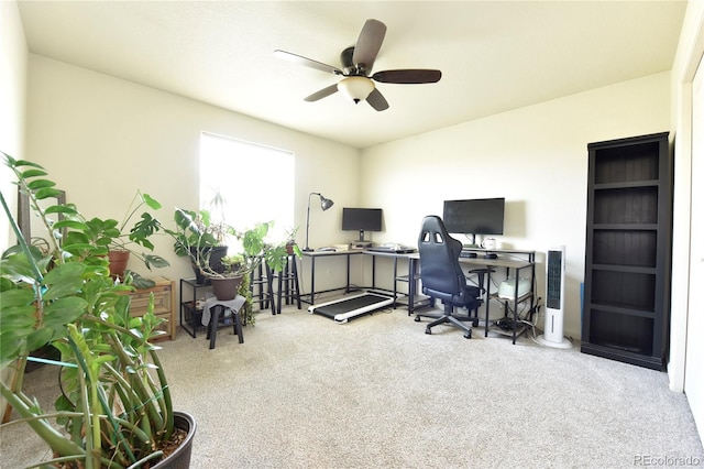 127 S Tequila Dr, Pueblo, CO 81007 - photo 18