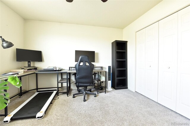 127 S Tequila Dr, Pueblo, CO 81007 - photo 19