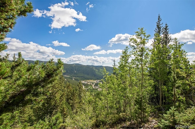 Listing photo 3 for 468 Hillside Rd, Idaho Springs CO 80452