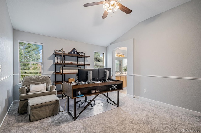 11681 Night Heron Dr, Parker, CO 80134 - photo 23