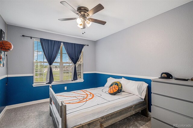 11681 Night Heron Dr, Parker, CO 80134 - photo 26