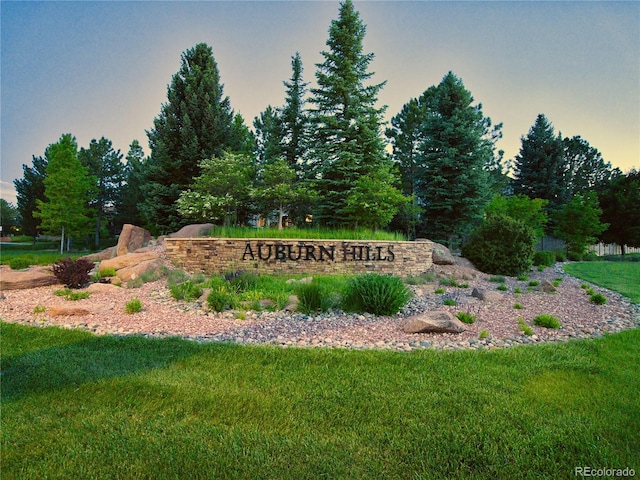 11681 Night Heron Dr, Parker, CO 80134 - photo 43