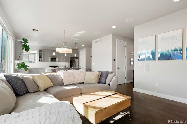 living room featuring dark wood-type flooring