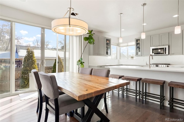 dining space with sink and dark hardwood / wood-style floors