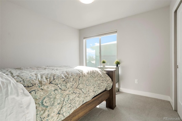 bedroom with carpet floors and a closet