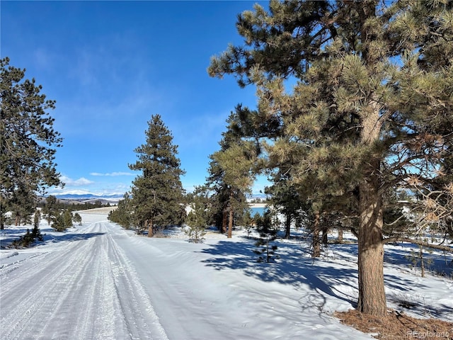 0 Singletree Rd, Buena Vista CO, 81211 land for sale