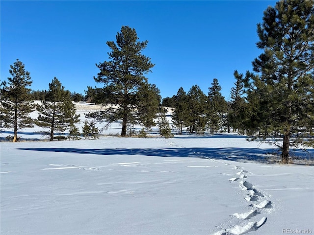 Listing photo 3 for 0 Singletree Rd, Buena Vista CO 81211