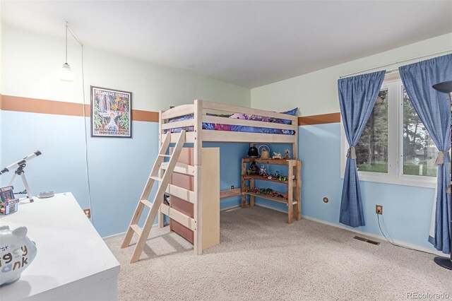 1037 Dogwood Dr, Golden, CO 80401 - photo 26