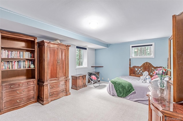 1037 Dogwood Dr, Golden, CO 80401 - photo 33