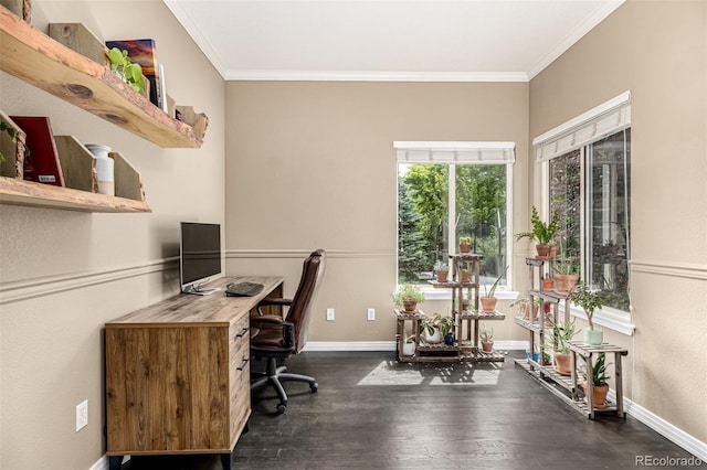 8410 S Oak St, Littleton, CO 80127 - office featuring ornamental molding and dark wood-style floors
