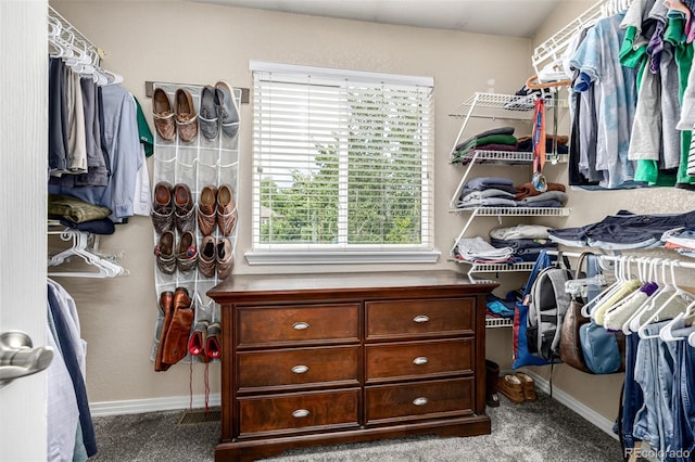 8410 S Oak St, Littleton, CO 80127 - spacious closet with carpet