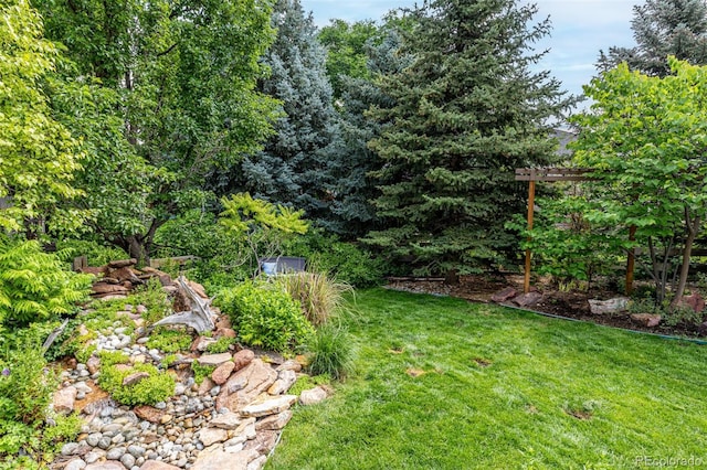 8410 S Oak St, Littleton, CO 80127 - view of green lawn