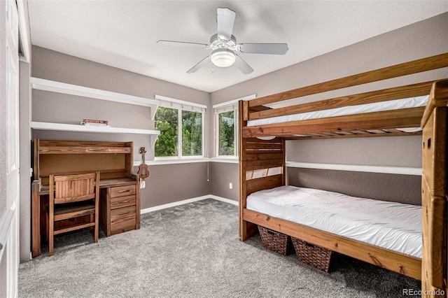 8410 S Oak St, Littleton, CO 80127 - photo 36