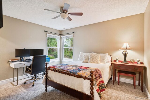 2187 Wynterbrook Dr, Highlands Ranch, CO 80126 - photo 26