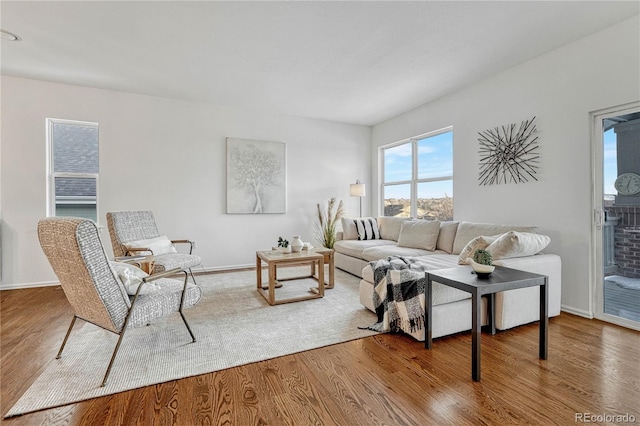 living room with hardwood / wood-style flooring