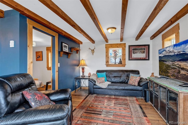 500 Fourth St, Fairplay, CO 80440 - living area featuring wood finished floors and beam ceiling