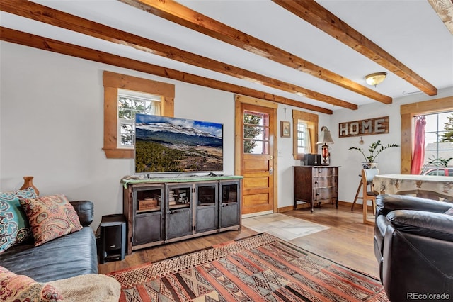 500 Fourth St, Fairplay, CO 80440 - living area featuring plenty of natural light, hardwood / wood-style floors, and beam ceiling