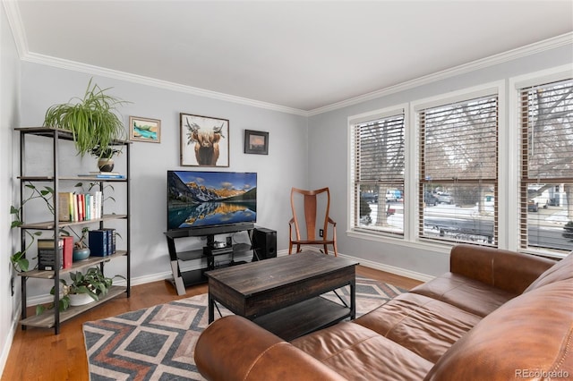 living room with hardwood / wood-style flooring and crown molding