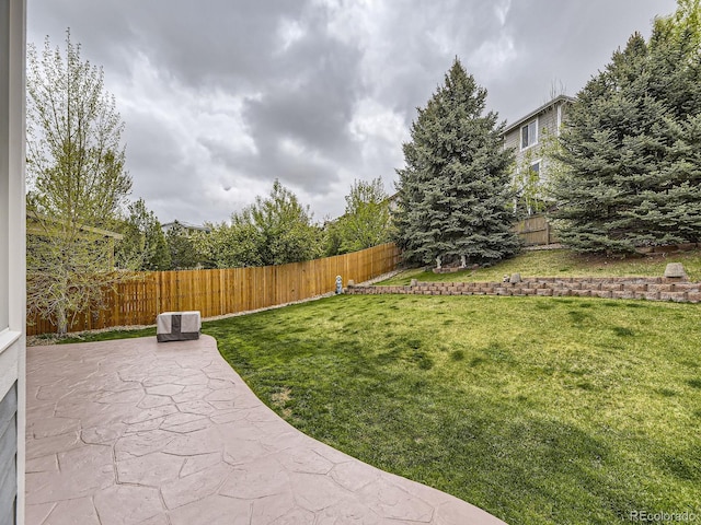 view of yard featuring a patio area