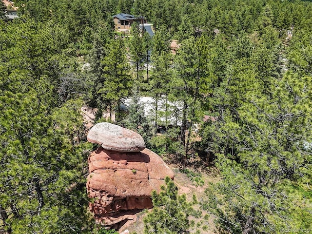 6100 Apache Dr, Larkspur, CO 80118 - photo 5