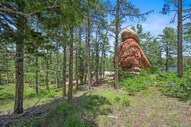 6100 Apache Dr, Larkspur, CO 80118 - photo 6