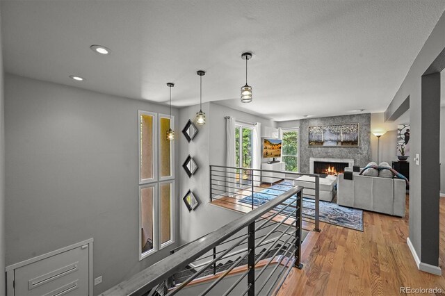 6100 Apache Dr, Larkspur, CO 80118 - photo 11