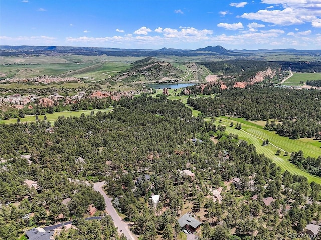 6100 Apache Dr, Larkspur, CO 80118 - photo 28