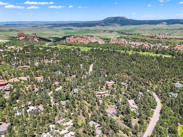 6100 Apache Dr, Larkspur, CO 80118 - photo 29