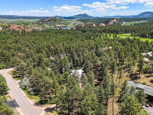 6100 Apache Dr, Larkspur, CO 80118 - photo 31