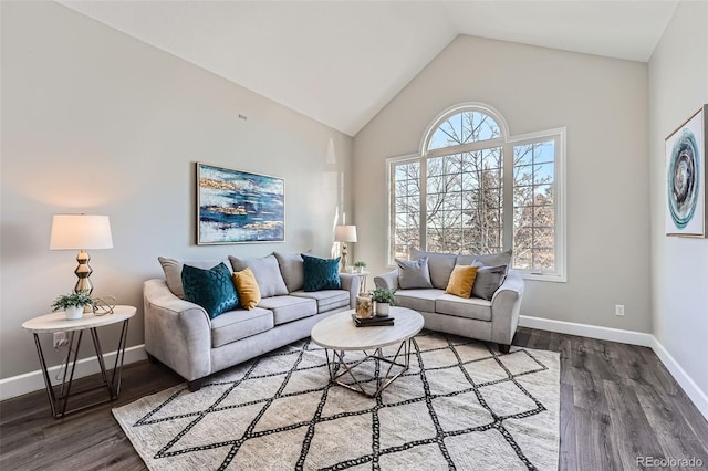 living room featuring wood-type flooring and high vaulted ceiling