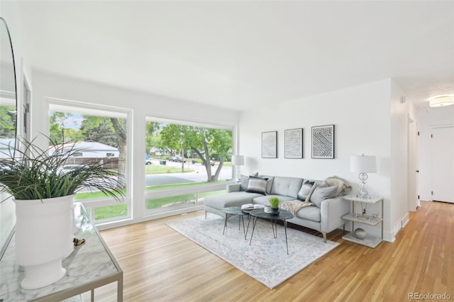 5445 Nebraska Way, Denver, CO 80246 - living room featuring healthy amount of natural light and light wood-type flooring