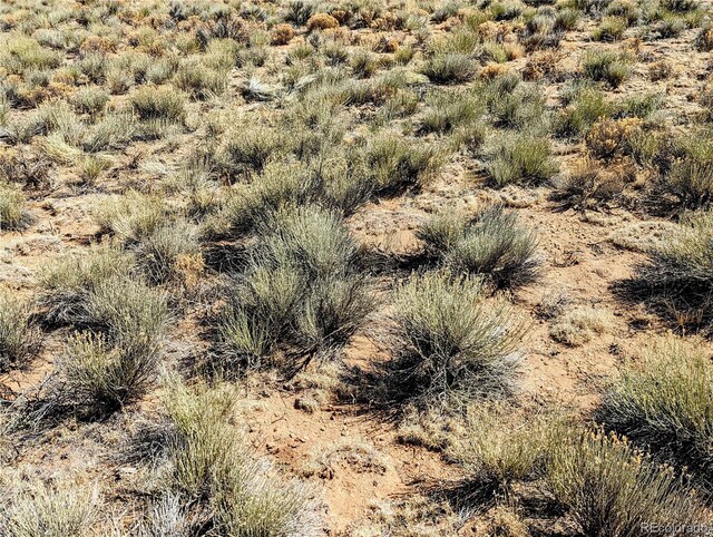LOT15 Russ Rd, San Luis, CO 81152 - photo 4