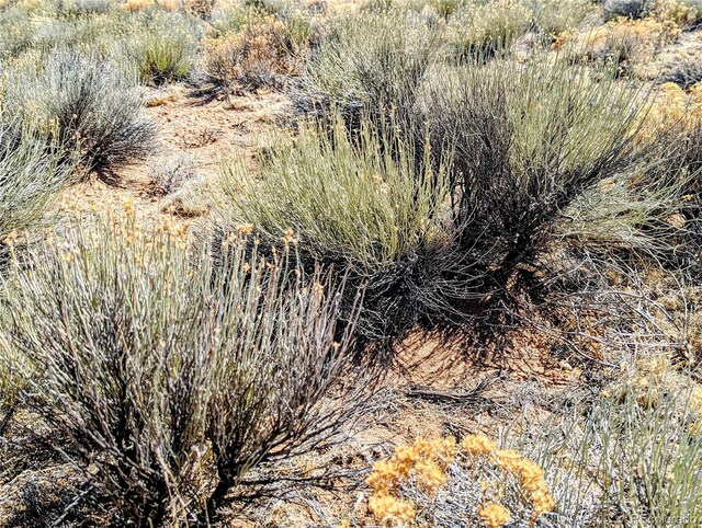 LOT15 Russ Rd, San Luis, CO 81152 - photo 5