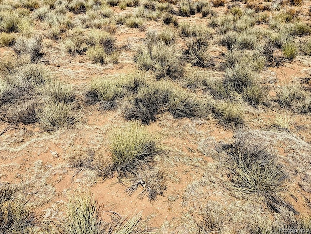LOT15 Russ Rd, San Luis, CO 81152 - photo 9