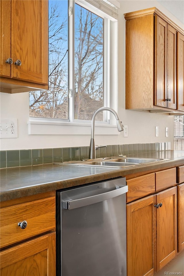 kitchen with stainless steel dishwasher and sink