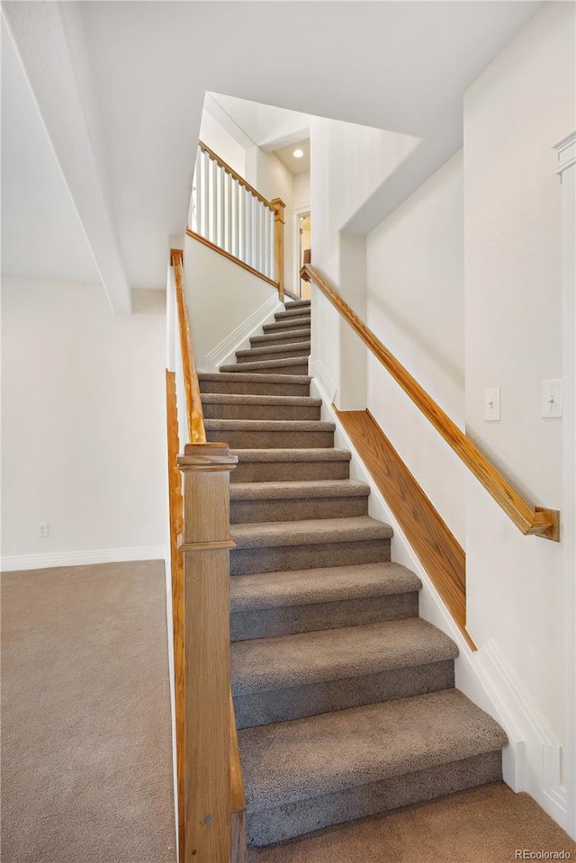 staircase featuring carpet