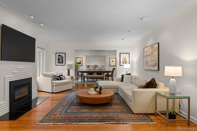 living room with wood finished floors and a fireplace with flush hearth