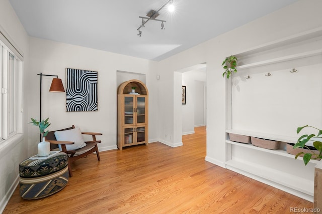 living area with track lighting, light wood finished floors, and baseboards