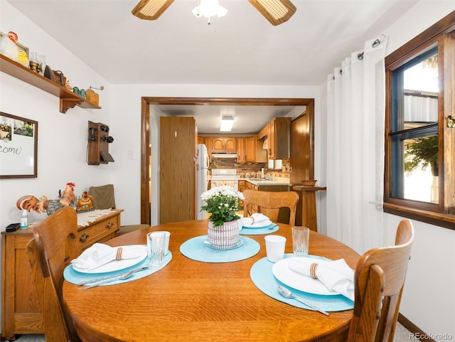 605 Cherry Ln, Pueblo, CO 81005 - photo 9