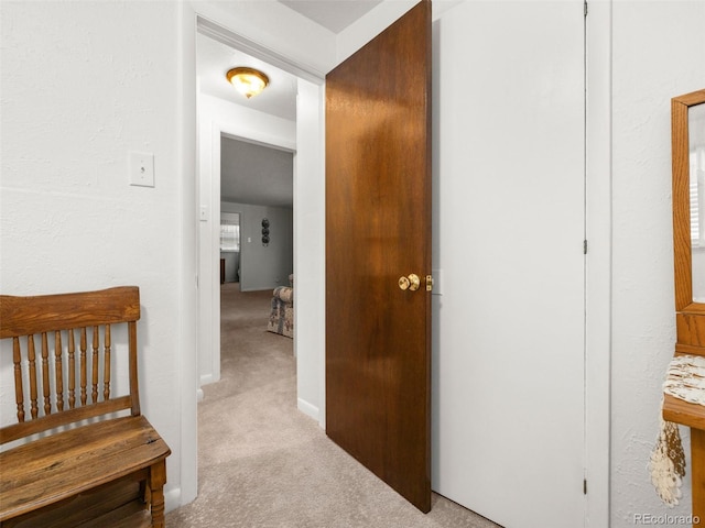 605 Cherry Ln, Pueblo, CO 81005 - photo 17