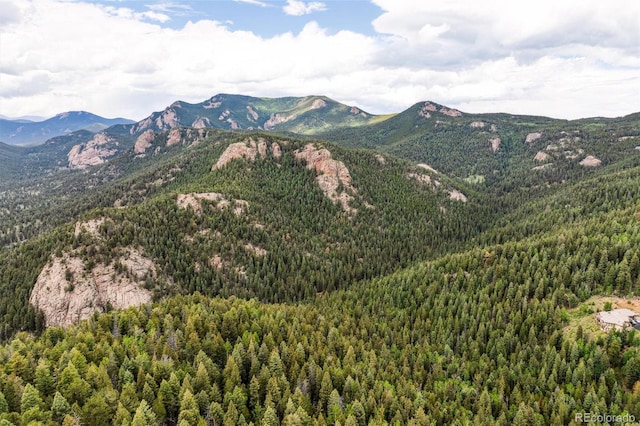000 Pike View Dr, Conifer, CO 80433