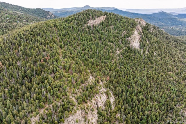 000 Pike View Dr, Conifer, CO 80433
