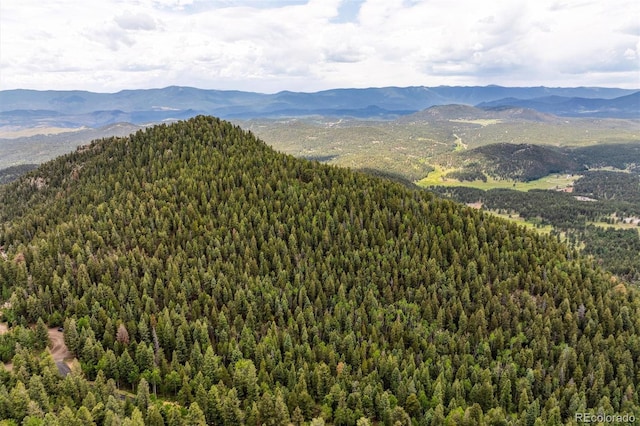 000 Pike View Dr, Conifer, CO 80433