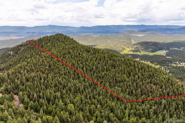 000 Pike View Dr, Conifer, CO 80433