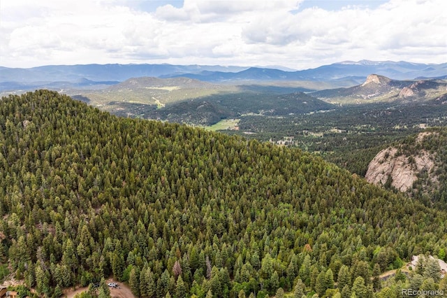 000 Pike View Dr, Conifer, CO 80433