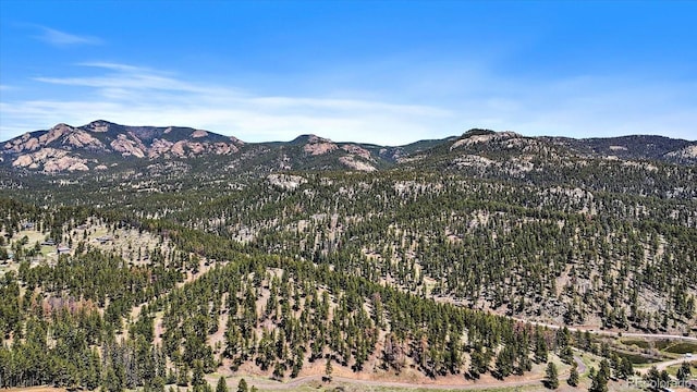 000 Pike View Dr, Conifer, CO 80433